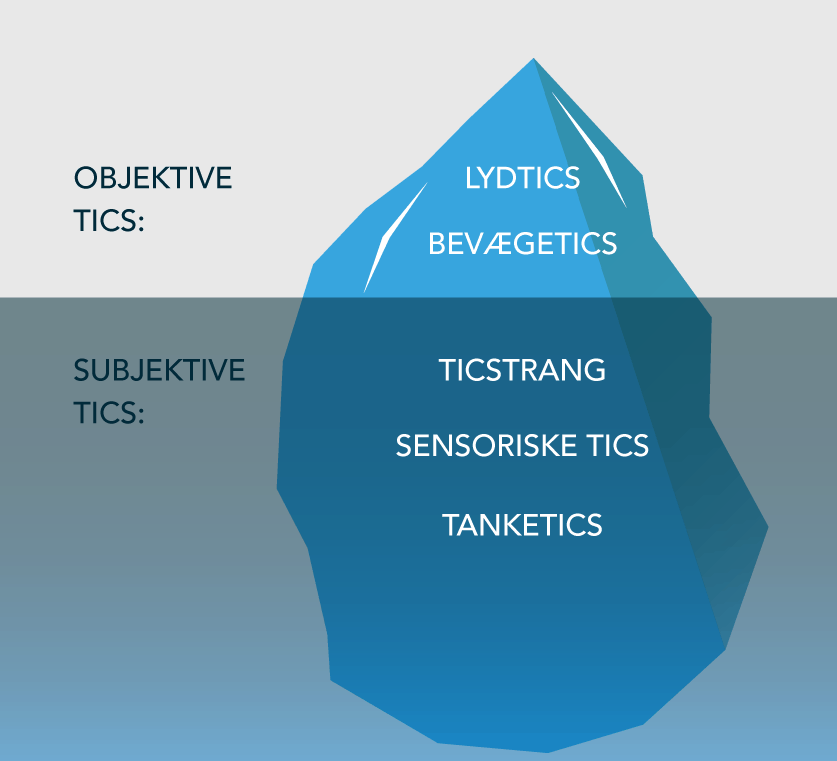 Model der viser objektive og subjektive tics